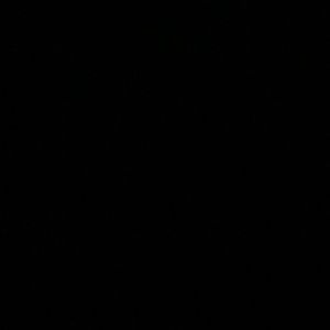 Meet your Posher, Will